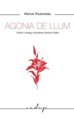 Agonia de llum | 9788412455748 | Rodoreda Gurgui, Mercè | Llibreria online de Figueres i Empordà