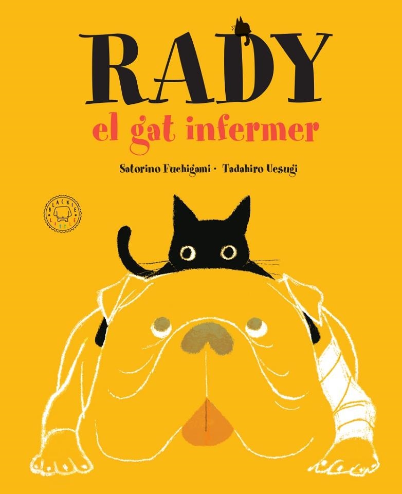Rady, el gat infermer | 9788417552725 | Satorino, Fuchigami | Librería online de Figueres / Empordà