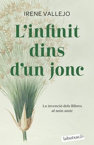 L'infinit dins d'un jonc | 9788419107121 | Vallejo, Irene | Llibreria online de Figueres i Empordà