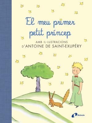 El meu primer petit príncep | 9788499067704 | Librería online de Figueres / Empordà