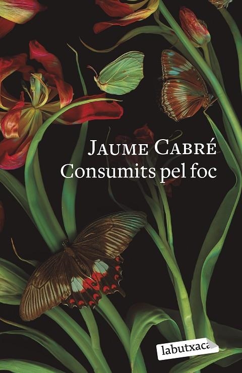Consumits pel foc | 9788419107206 | Cabré, Jaume | Llibreria online de Figueres i Empordà