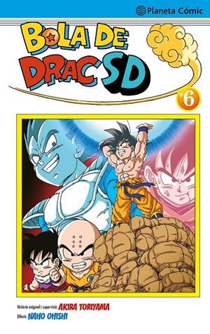 Bola de Drac SD #06 | 9788491746690 | Toriyama, Akira/Ohishi, Naho | Llibreria online de Figueres i Empordà