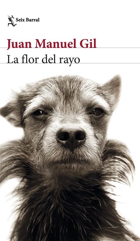 La flor del rayo | 9788432241574 | Gil, Juan Manuel | Llibreria online de Figueres i Empordà