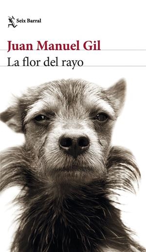 La flor del rayo | 9788432241574 | Gil, Juan Manuel | Llibreria online de Figueres i Empordà