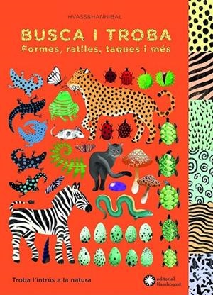 Busca i troba formes, ratlles, taques i més | 9788494504242 | Llibreria online de Figueres i Empordà