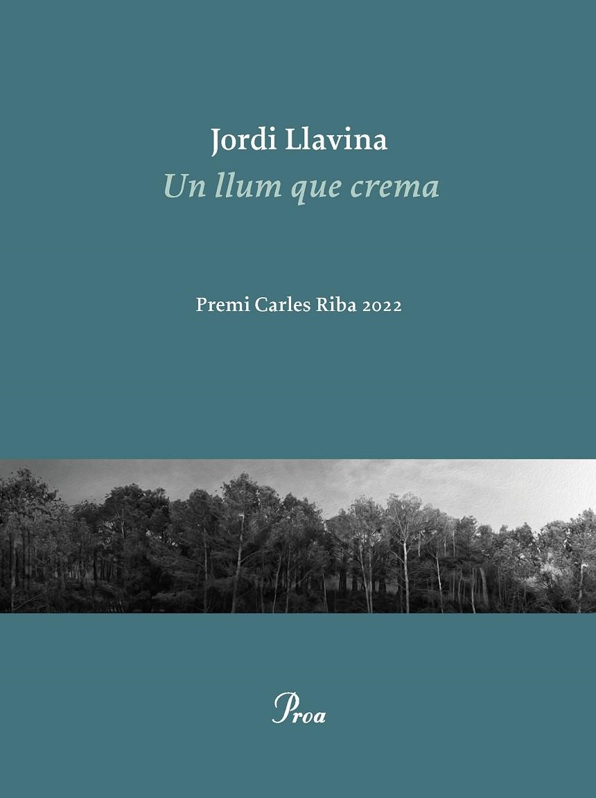 Un llum que crema | 9788475889979 | Llavina, Jordi | Librería online de Figueres / Empordà