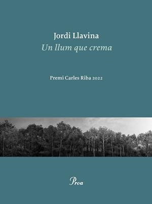 Un llum que crema | 9788475889979 | Llavina, Jordi | Llibreria online de Figueres i Empordà