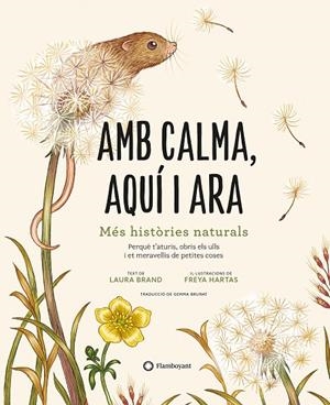 Amb calma, aquí i ara | 9788419401120 | Brand, Laura | Librería online de Figueres / Empordà