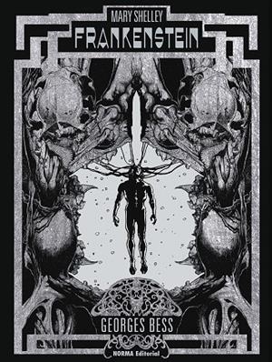 FRANKENSTEIN | 9788467961782 | Bess, George/SHelley, Mary | Llibreria online de Figueres i Empordà